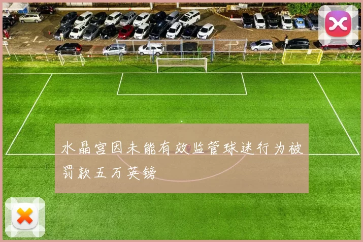 水晶宫因未能有效监管球迷行为被罚款五万英镑