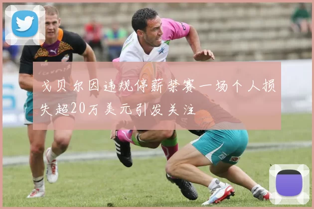 戈贝尔因违规停薪禁赛一场个人损失超20万美元引发关注